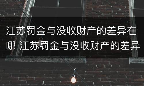 江苏罚金与没收财产的差异在哪 江苏罚金与没收财产的差异在哪查