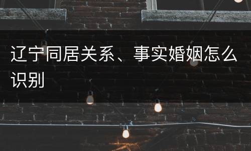 辽宁同居关系、事实婚姻怎么识别