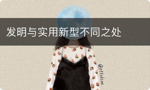 发明与实用新型不同之处