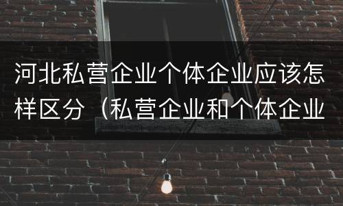 河北私营企业个体企业应该怎样区分（私营企业和个体企业的区别）