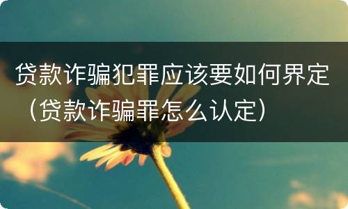 贷款诈骗犯罪应该要如何界定（贷款诈骗罪怎么认定）