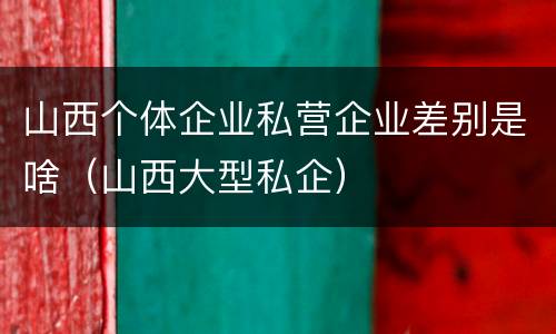 山西个体企业私营企业差别是啥（山西大型私企）