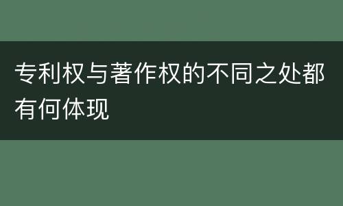 专利权与著作权的不同之处都有何体现