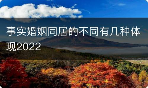 事实婚姻同居的不同有几种体现2022