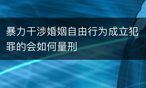 暴力干涉婚姻自由行为成立犯罪的会如何量刑