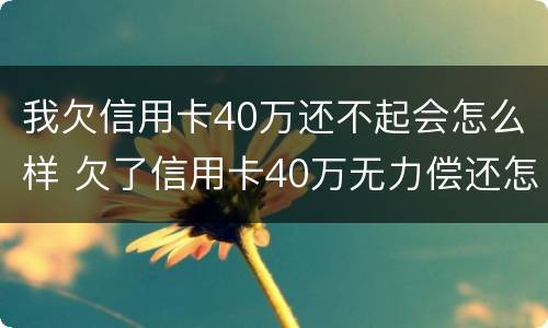 我欠信用卡40万还不起会怎么样 欠了信用卡40万无力偿还怎么办