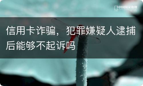 信用卡诈骗，犯罪嫌疑人逮捕后能够不起诉吗