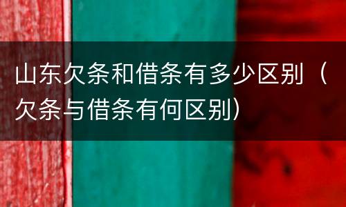 山东欠条和借条有多少区别（欠条与借条有何区别）