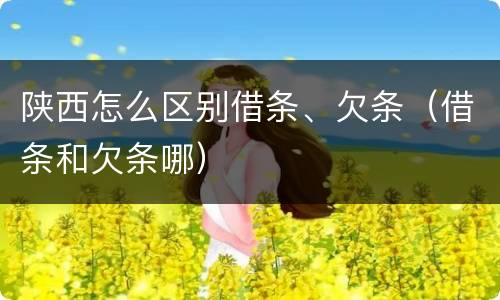 陕西怎么区别借条、欠条（借条和欠条哪）
