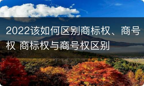 2022该如何区别商标权、商号权 商标权与商号权区别