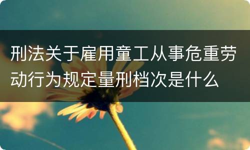 刑法关于雇用童工从事危重劳动行为规定量刑档次是什么