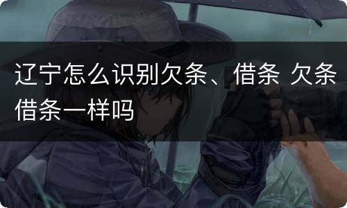 辽宁怎么识别欠条、借条 欠条借条一样吗