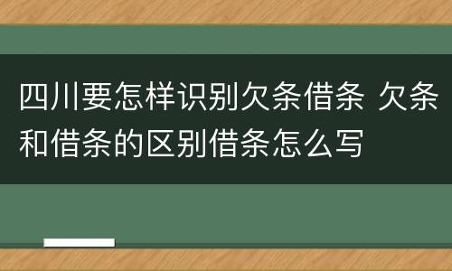 四川要怎样识别欠条借条 欠条和借条的区别借条怎么写