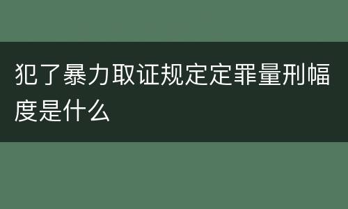 犯了暴力取证规定定罪量刑幅度是什么
