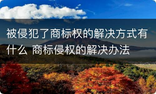被侵犯了商标权的解决方式有什么 商标侵权的解决办法