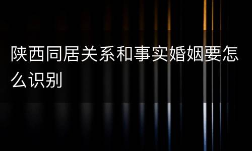 陕西同居关系和事实婚姻要怎么识别