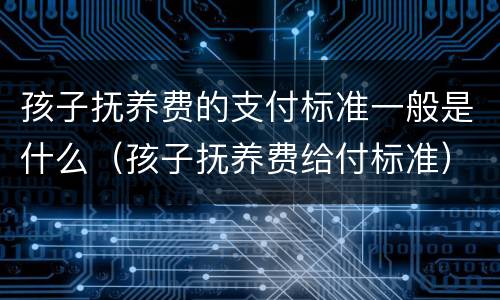 孩子抚养费的支付标准一般是什么（孩子抚养费给付标准）