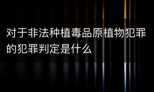 对于非法种植毒品原植物犯罪的犯罪判定是什么