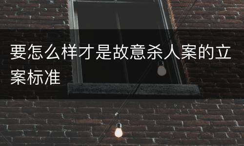 要怎么样才是故意杀人案的立案标准