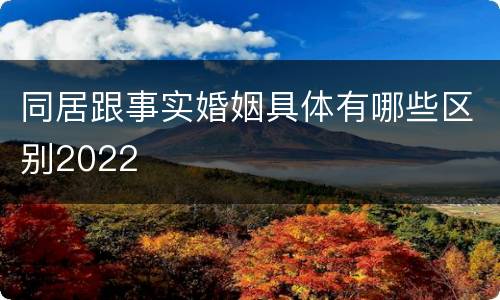 同居跟事实婚姻具体有哪些区别2022