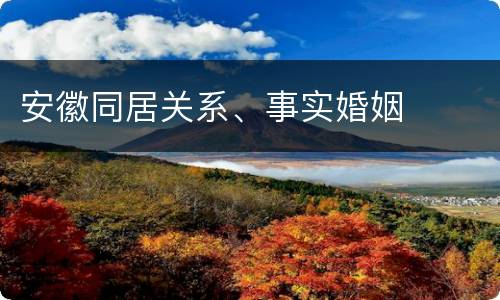 安徽同居关系、事实婚姻