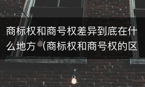 商标权和商号权差异到底在什么地方（商标权和商号权的区别）