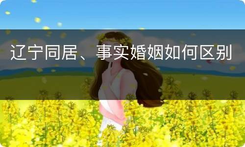 辽宁同居、事实婚姻如何区别