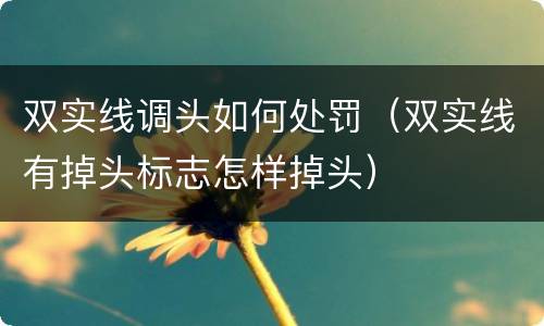双实线调头如何处罚（双实线有掉头标志怎样掉头）