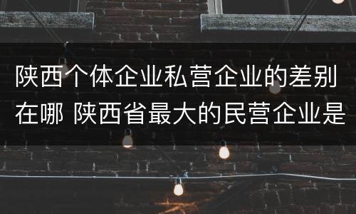 陕西个体企业私营企业的差别在哪 陕西省最大的民营企业是什么公司