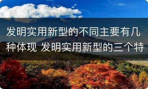 发明实用新型的不同主要有几种体现 发明实用新型的三个特点