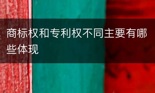 商标权和专利权不同主要有哪些体现