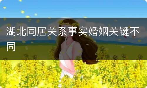 湖北同居关系事实婚姻关键不同