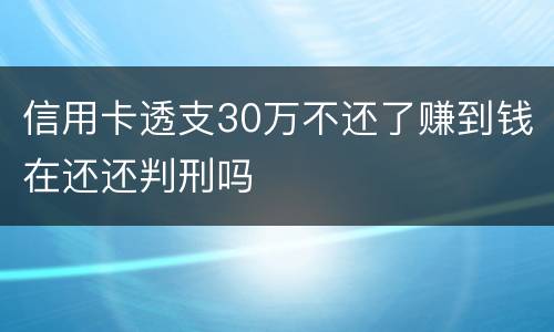 信用卡透支30万不还了赚到钱在还还判刑吗