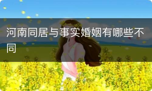 河南同居与事实婚姻有哪些不同