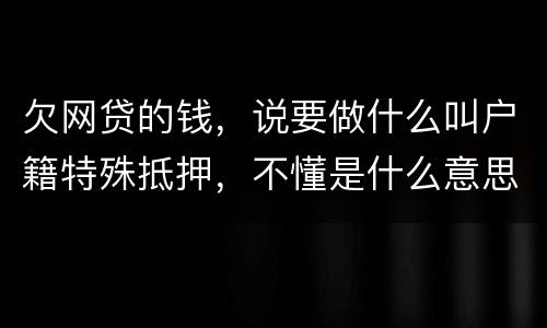 欠网贷的钱，说要做什么叫户籍特殊抵押，不懂是什么意思