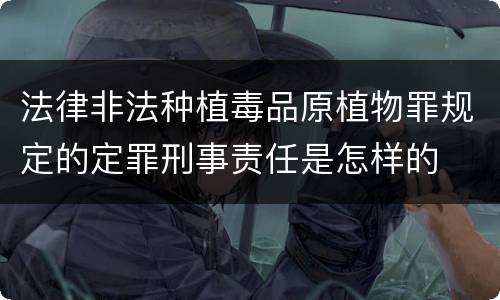 法律非法种植毒品原植物罪规定的定罪刑事责任是怎样的