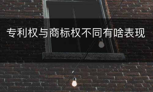 专利权与商标权不同有啥表现