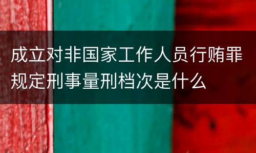成立对非国家工作人员行贿罪规定刑事量刑档次是什么
