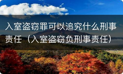 入室盗窃罪可以追究什么刑事责任（入室盗窃负刑事责任）