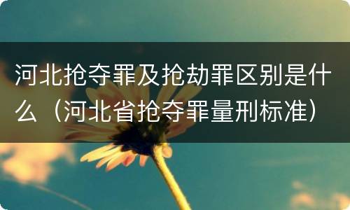 河北抢夺罪及抢劫罪区别是什么（河北省抢夺罪量刑标准）
