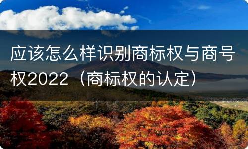 应该怎么样识别商标权与商号权2022（商标权的认定）