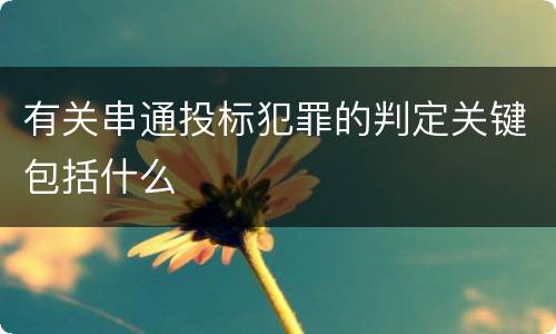 有关串通投标犯罪的判定关键包括什么