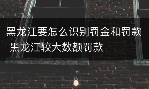 黑龙江要怎么识别罚金和罚款 黑龙江较大数额罚款