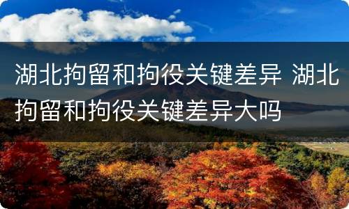 湖北拘留和拘役关键差异 湖北拘留和拘役关键差异大吗