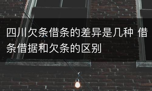四川欠条借条的差异是几种 借条借据和欠条的区别