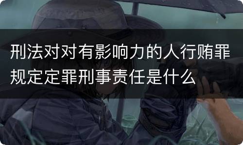 刑法对对有影响力的人行贿罪规定定罪刑事责任是什么