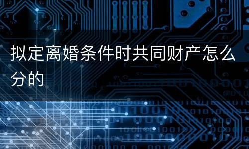 拟定离婚条件时共同财产怎么分的