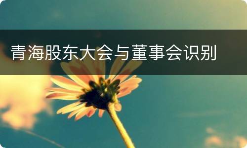 青海股东大会与董事会识别