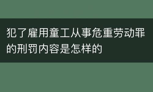 犯了雇用童工从事危重劳动罪的刑罚内容是怎样的