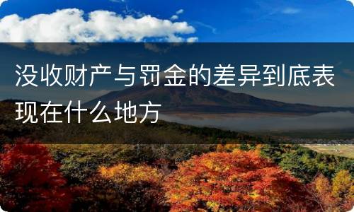 没收财产与罚金的差异到底表现在什么地方